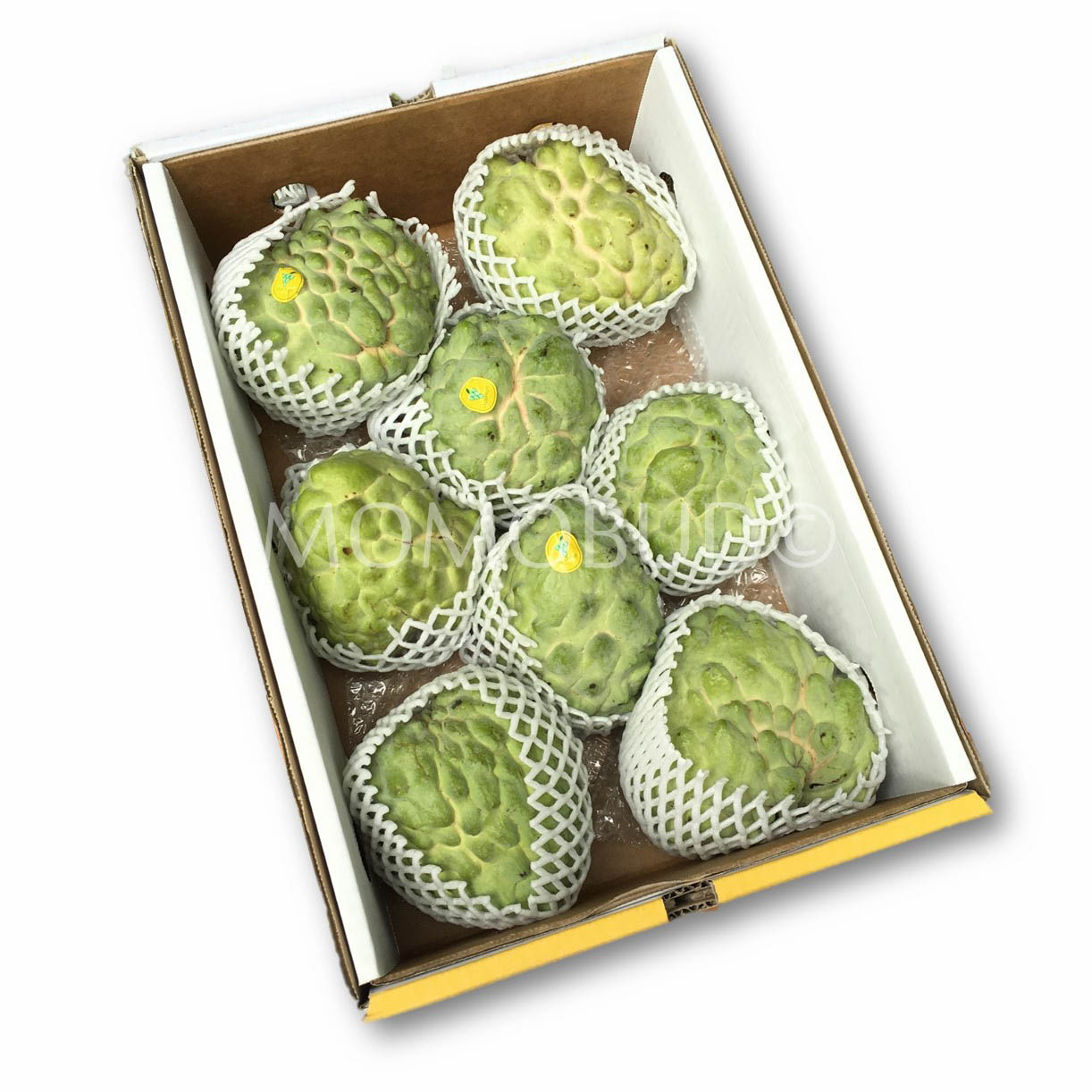 Na-Mang-cau-Australian-nhap-khau-vinfruits.com
