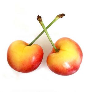 Cherry vang My - vinfruits.com 3