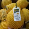 Dưa lưới Malaysia nhập khẩu - Vinfruits.com