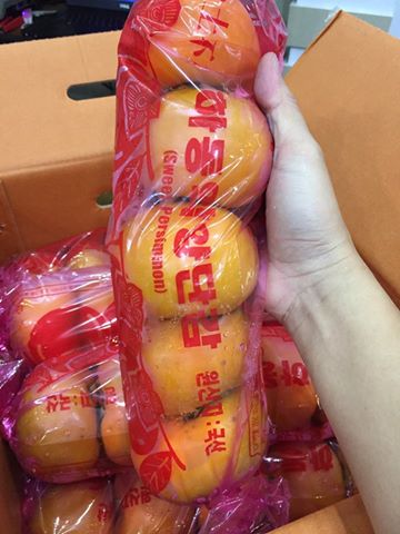 Hồng giòn Hàn Quốc - Vinfruits.com