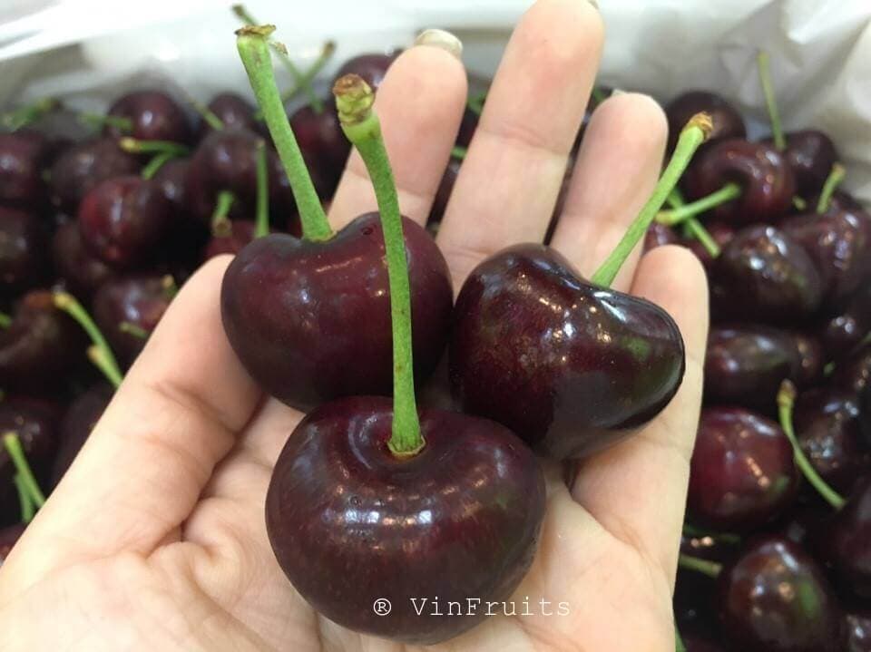Cherry đỏ Mỹ - VinFruits