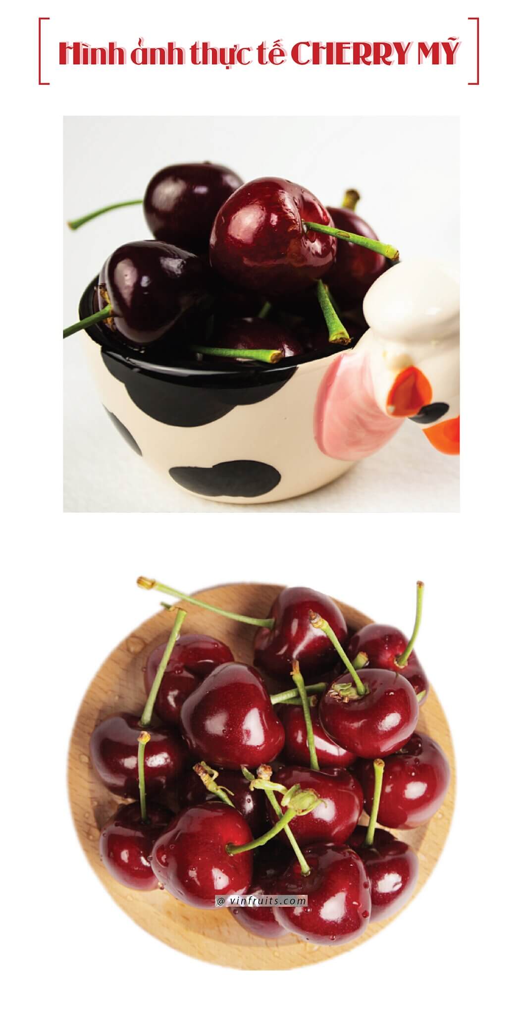 Hinh anh cherry do My - vinfruits.com 1