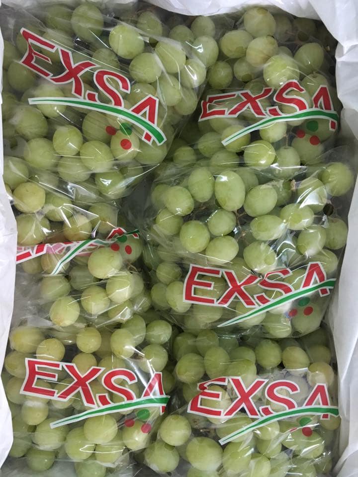 Nho xanh Nam Phi nhập khẩu - Vinfruits.com