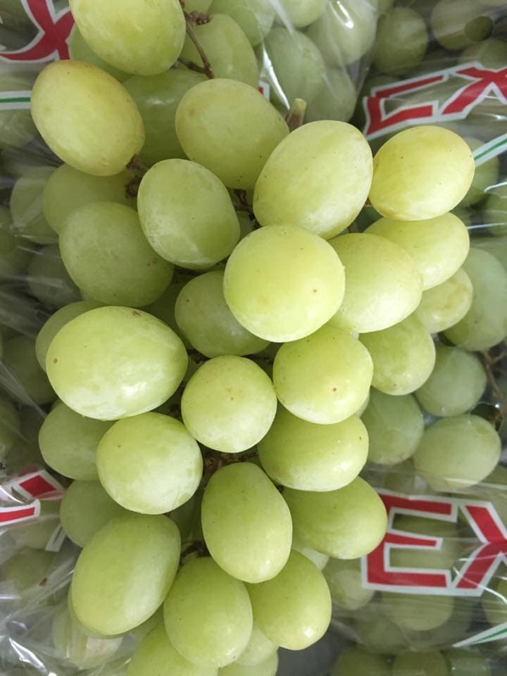 Nho xanh Nam Phi nhập khẩu - Vinfruits.com