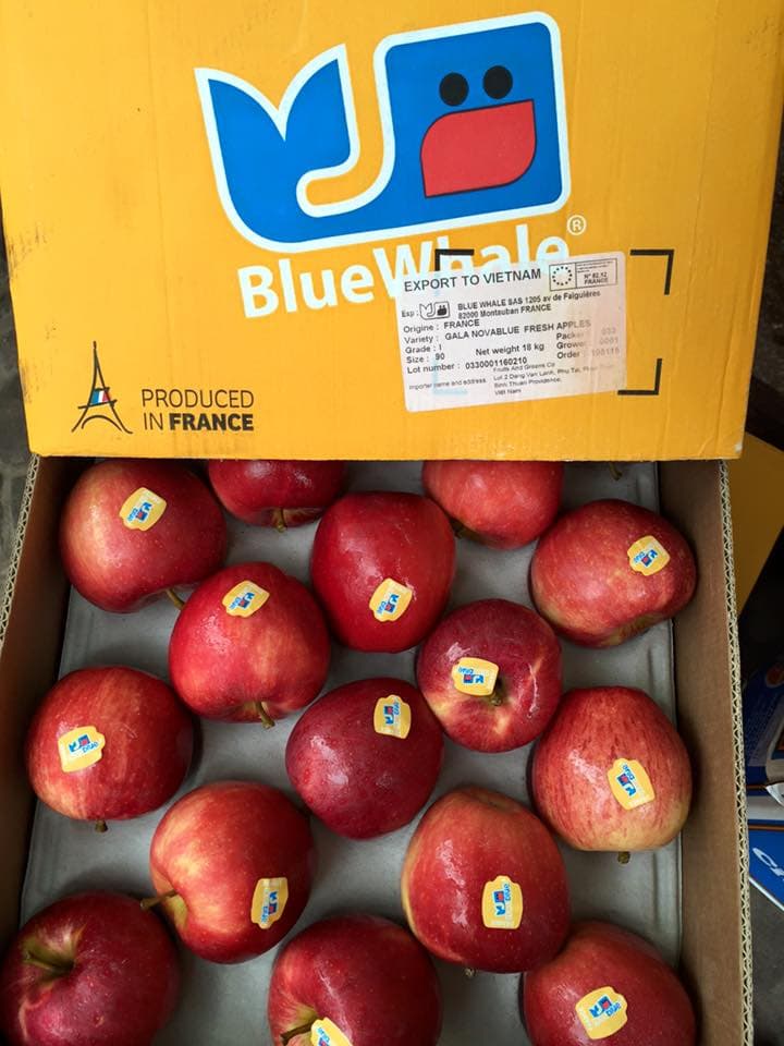 Táo Nova Blue Pháp - Vinfruits.com