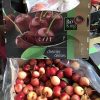 Cherry Vàng Chile nhập khẩu - Vinfruits.com