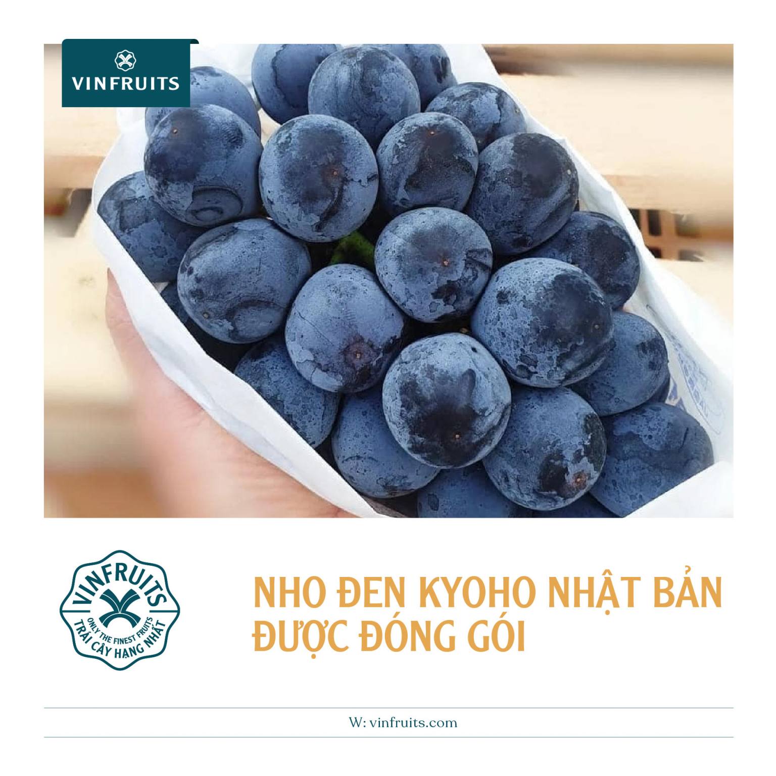 Nho Kyoho organic được đóng gói cực kỳ cẩn thận như các loại trái cây Nhật Bản khác