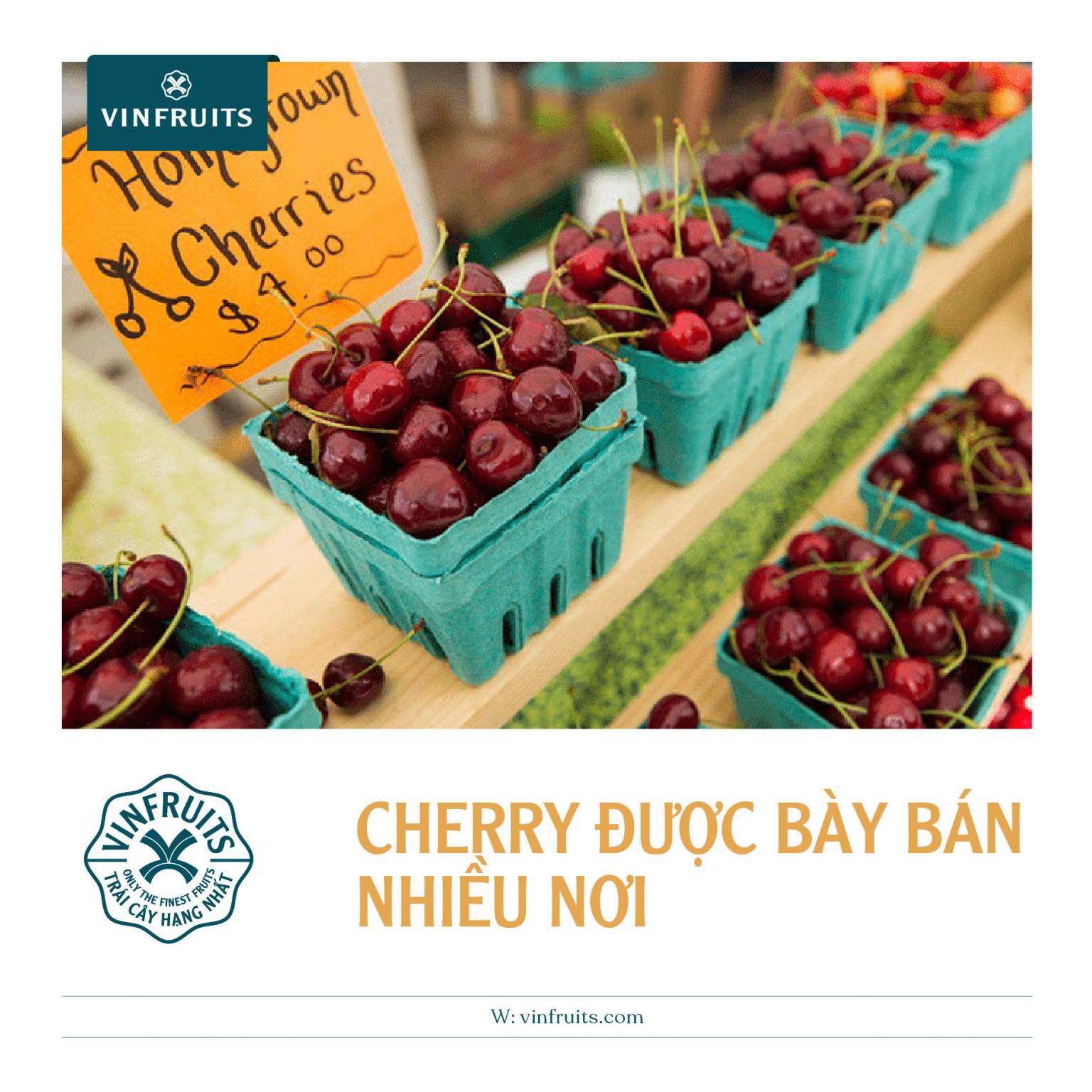 Cherry nhập khẩu đang rất đa dạng và phong phú