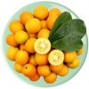 Tắc Nhật - vinfruits.com 4