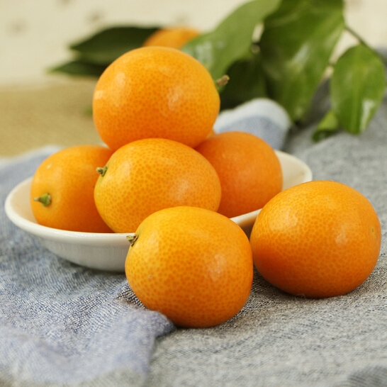 Tắc Nhật - vinfruits.com 6