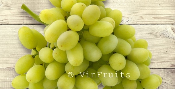 thompson-green-table-grapes
