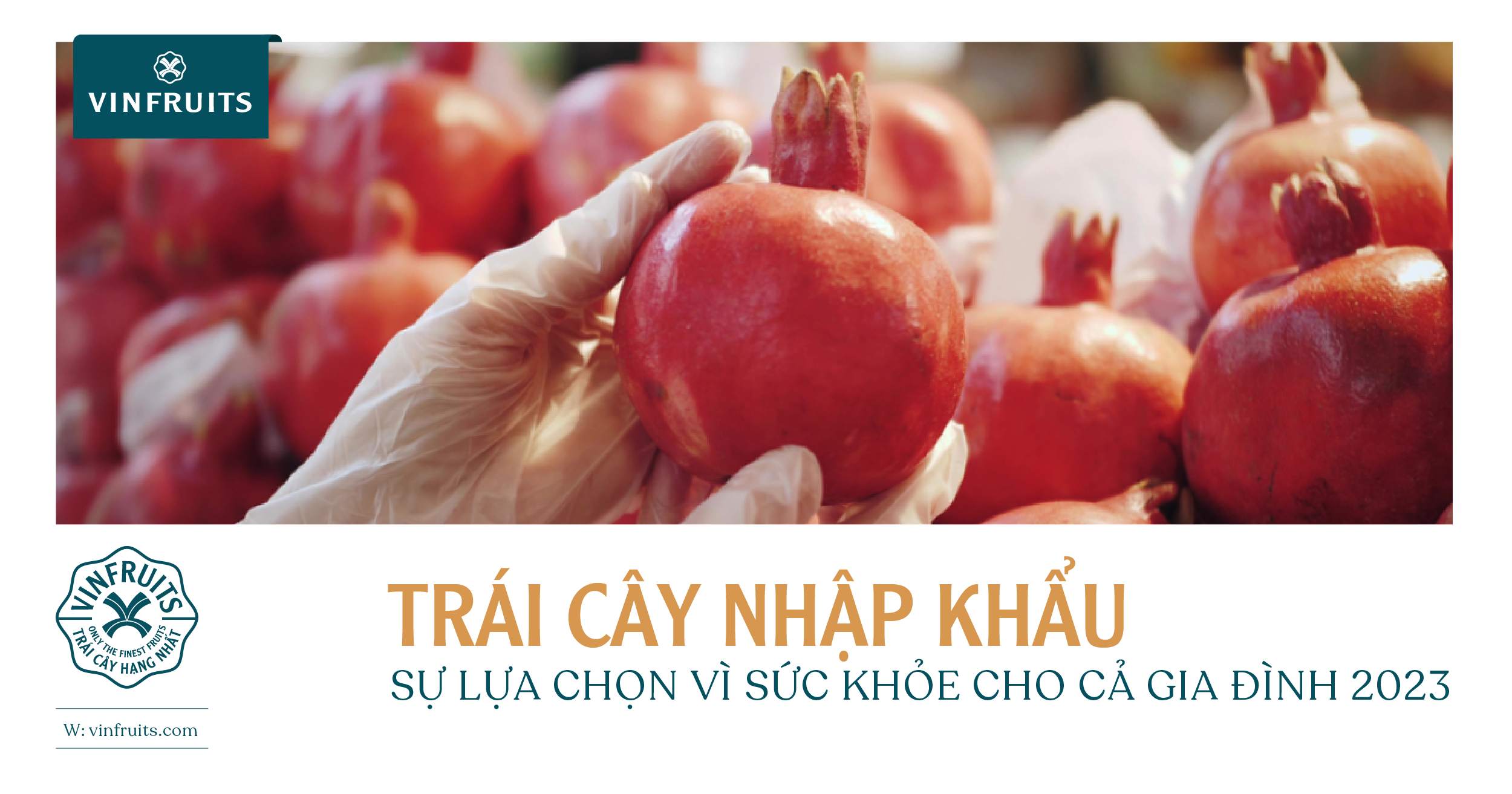 TRÁI CÂY NHẬP KHẨU – SỰ LỰA CHỌN VÌ SỨC KHỎE CHO CẢ GIA ĐÌNH 2023