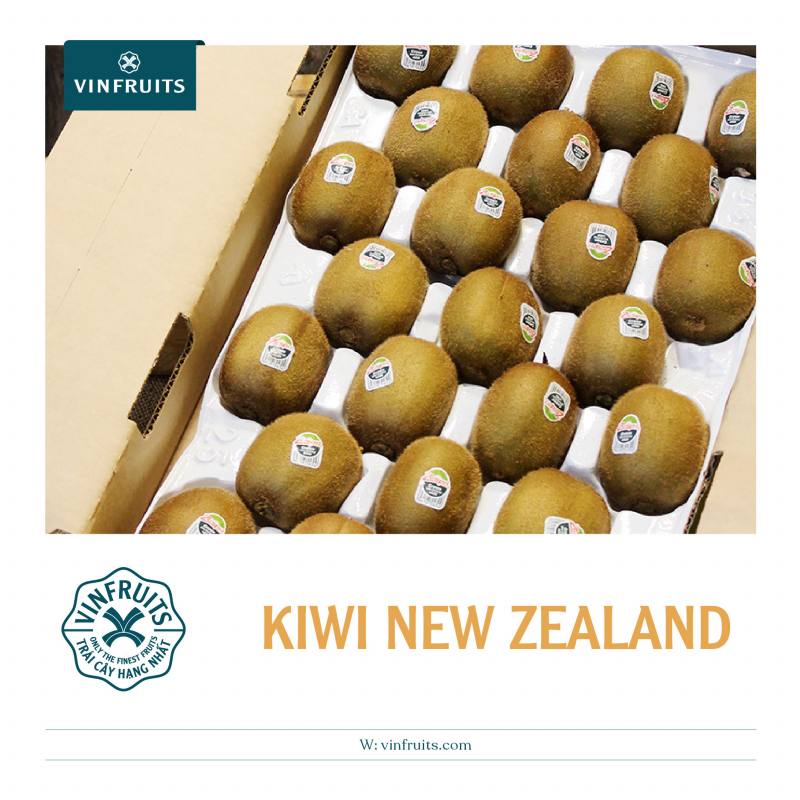 Kiwi vàng New Zealand