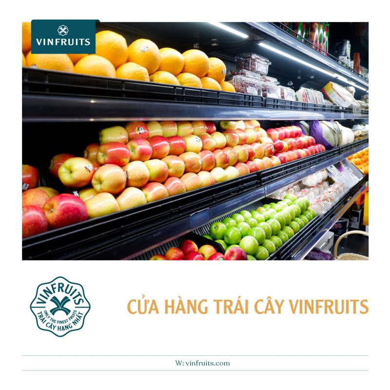 VinFruits sở hữu hơn 200+ loại trái cây nhập khẩu từ các quốc gia