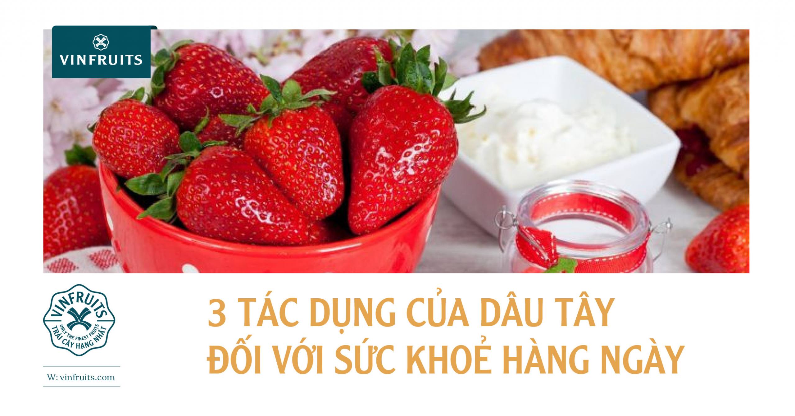 3 TÁC DỤNG CỦA DÂU TÂY ĐỐI VỚI SỨC KHỎE HÀNG NGÀY