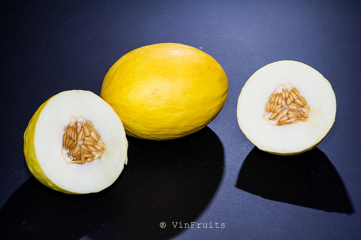 Dưa Canary Melon - Vinfruits