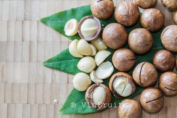Hạt macca Đà Lạt - Vinfruits