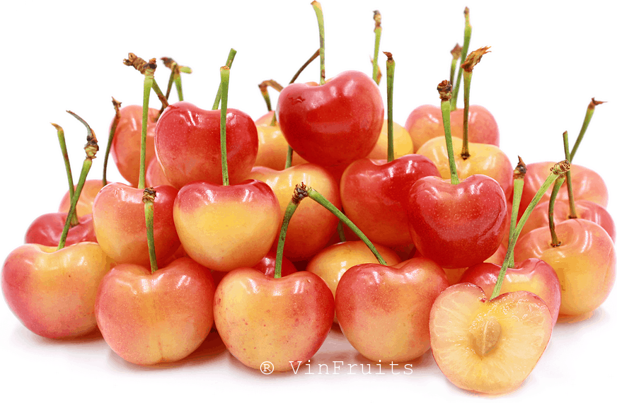 cherry vàng rainier Mỹ - Vinfruits