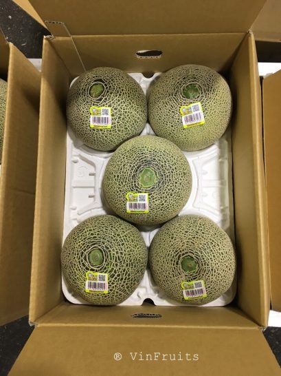 Dưa lưới Higo Green Nhật - Vinfruits