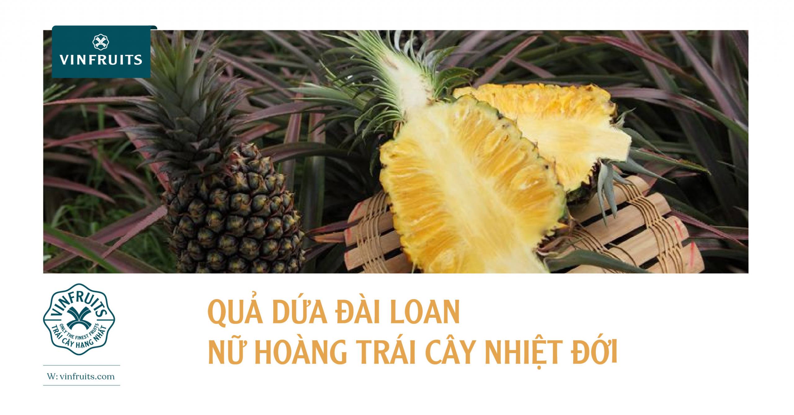 QUẢ DỨA ĐÀI LOAN – NỮ HOÀNG TRÁI CÂY NHIỆT ĐỚI