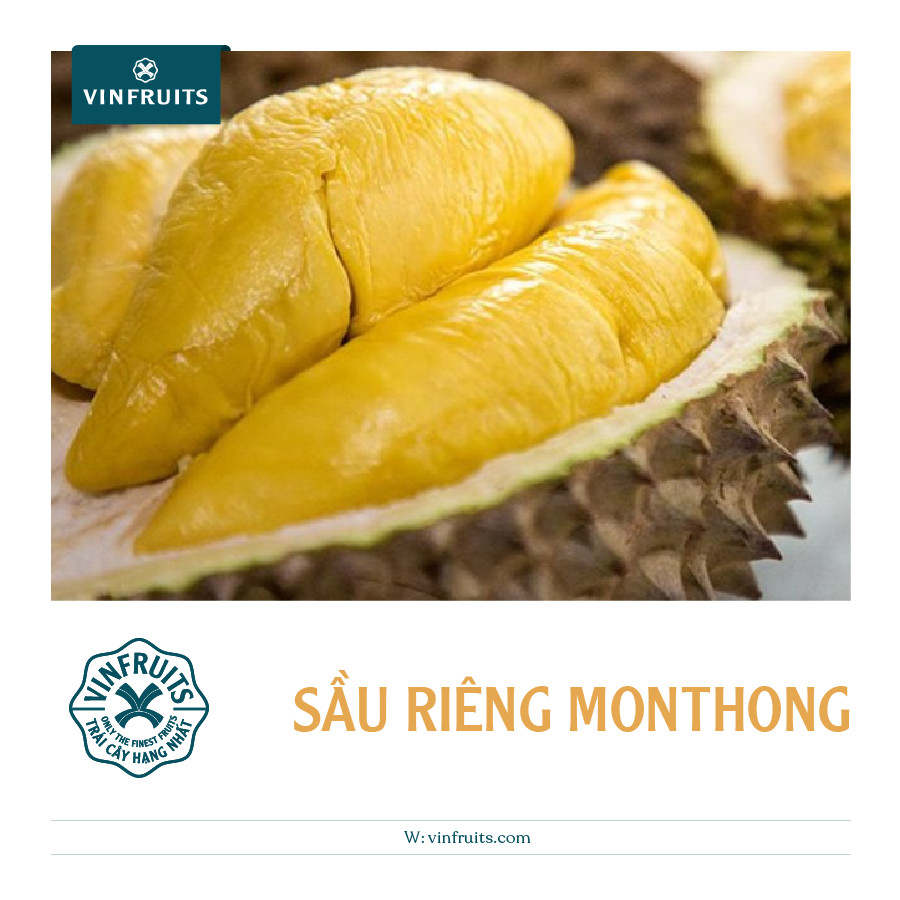 Sầu riêng Monthong (Dona) cơm vàng, hạt lép, vỏ mỏng