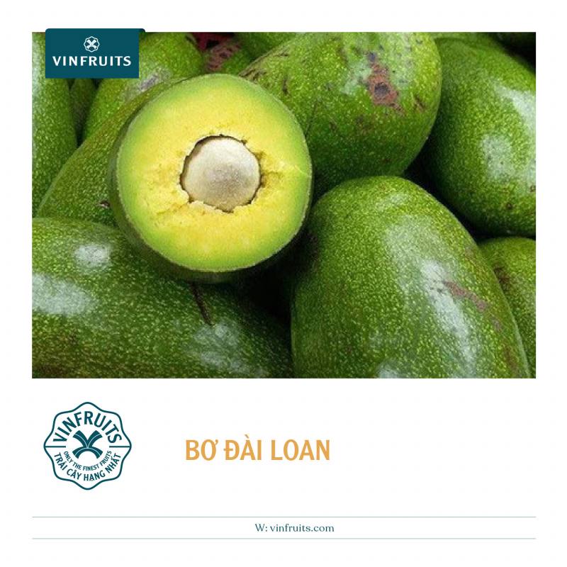 Bơ Đài Loan nặng tới hơn 1 kg một quả, nên mỗi quả cũng gần nửa triệu đồng
