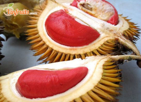 Sầu riêng ruột đỏ là loại trái thơm ngon - Vinfruits