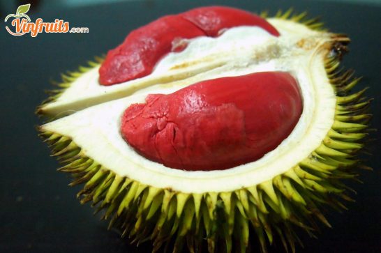 Sầu riêng ruột đỏ Malaysia - Vinfruits