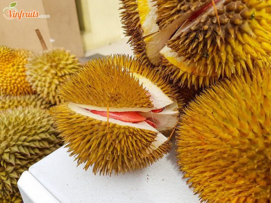 Sầu riêng ruột đỏ bán nhiều bên ở chợ Sabah (Malaysia) - Vinfruits