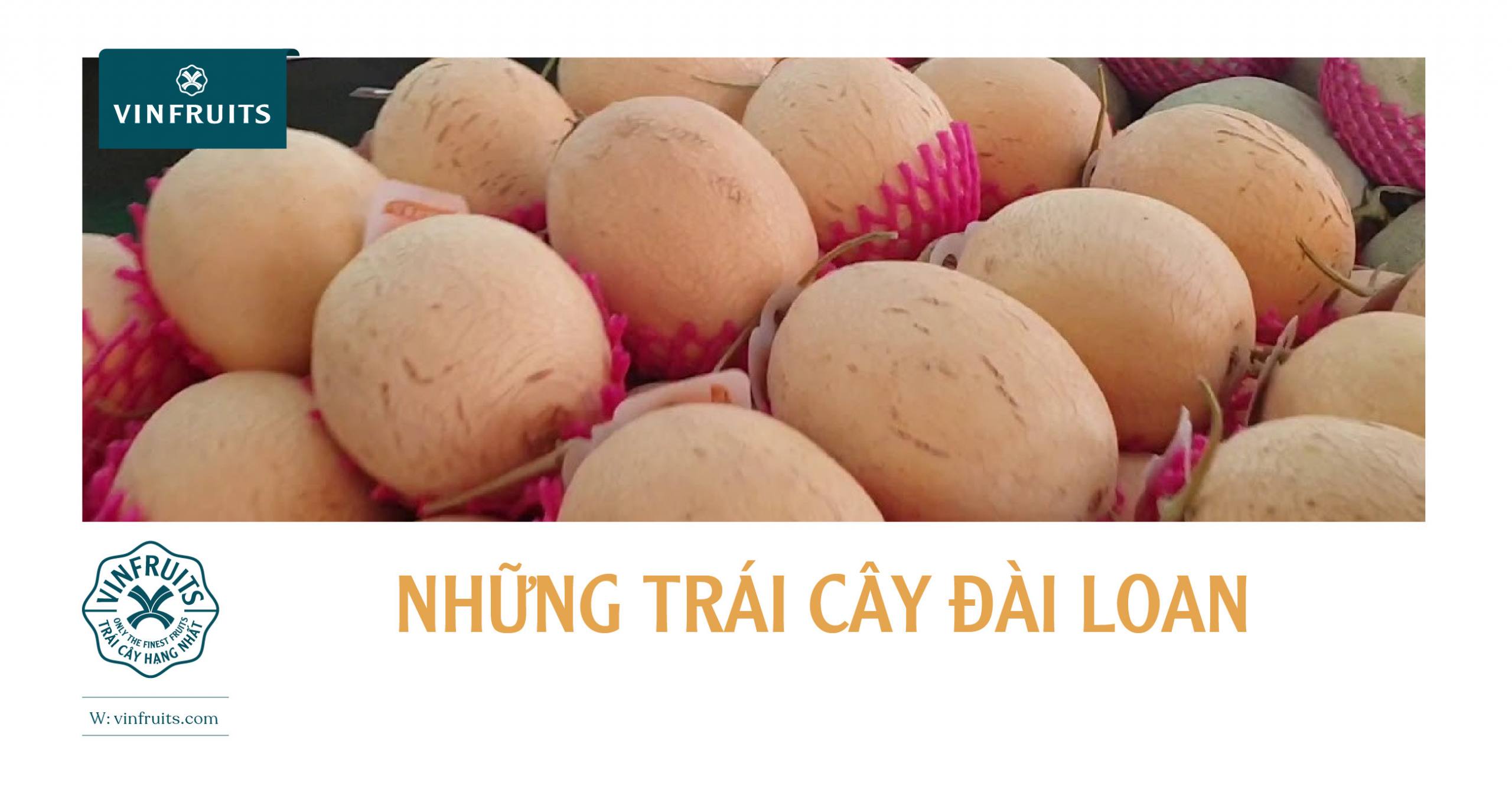 NHỮNG TRÁI CÂY ĐÀI LOAN GIÁ TIỀN TRIỆU HÚT KHÁCH VIỆT