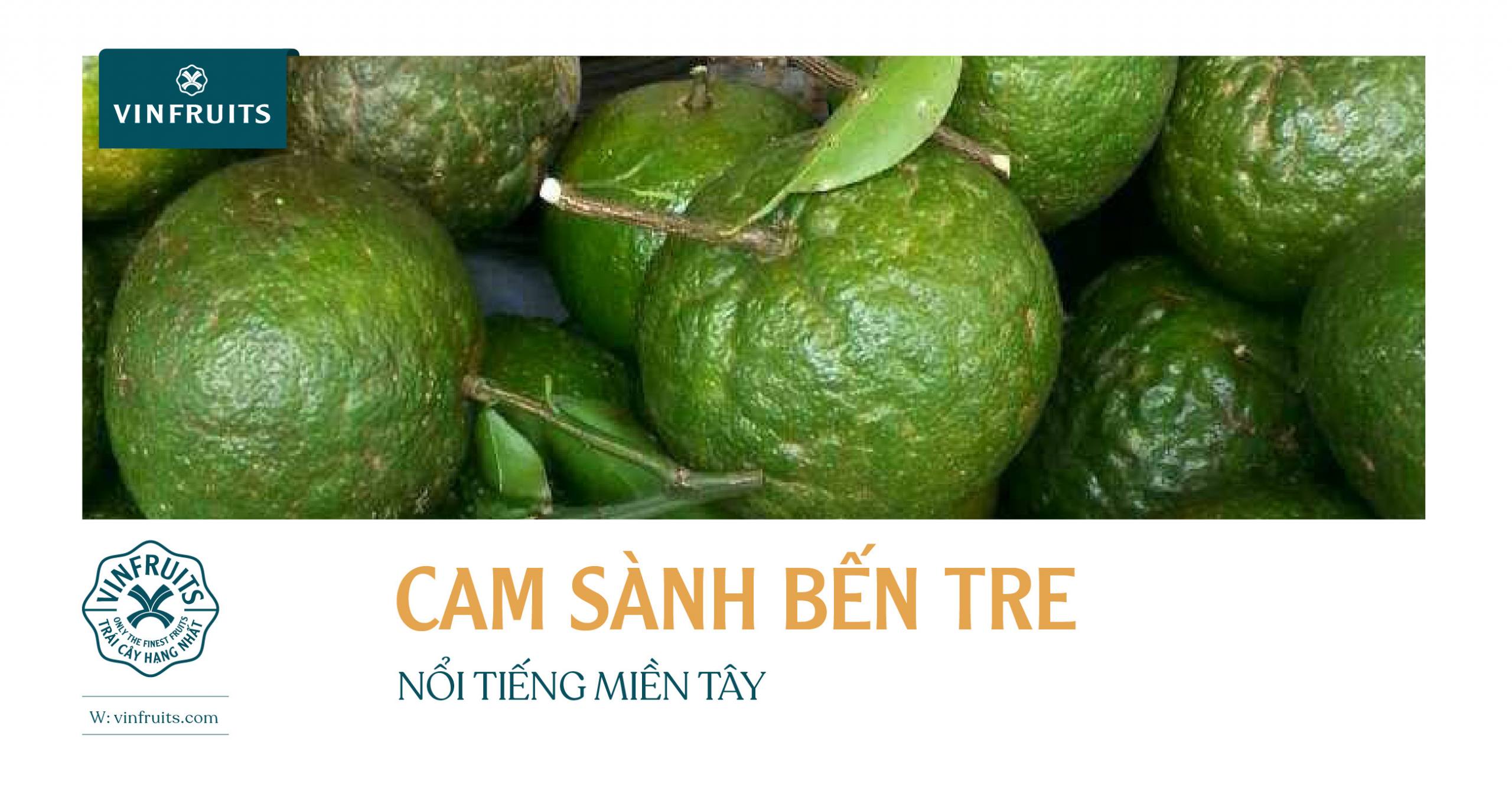 CAM SÀNH BẾN TRE NỔI TIẾNG MIỀN TÂY