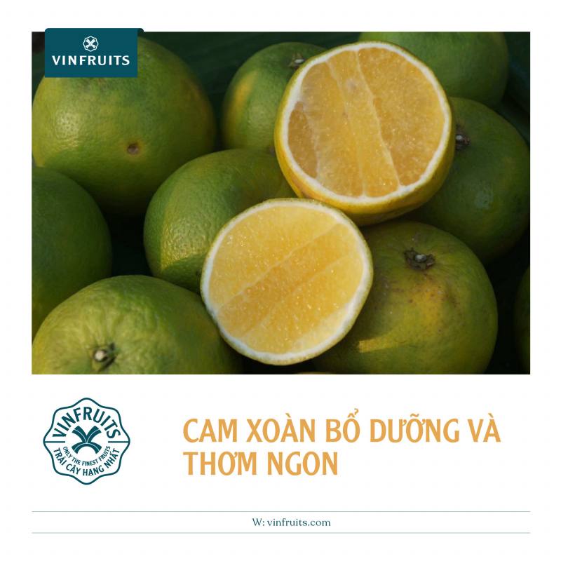 Cam xoàn là loại trái cây  đặc sản Lai Vung nổi tiếng về bổ dưỡng và thơm ngon