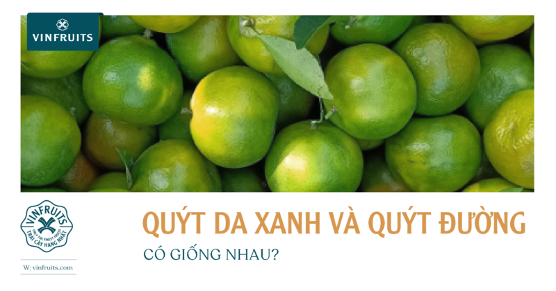 quýt da xanh