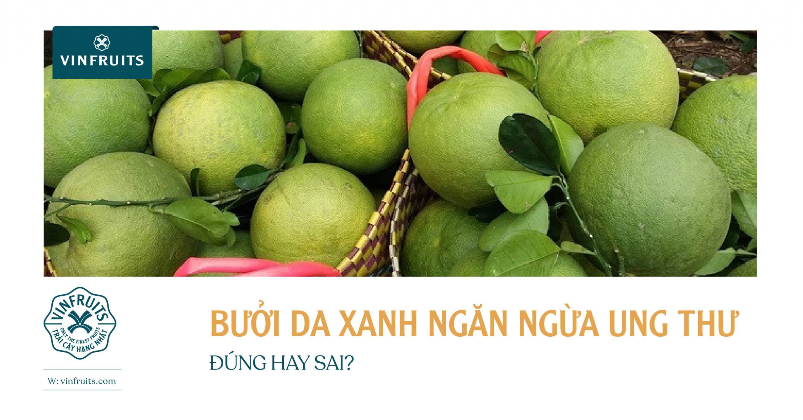 BƯỞI DA XANH NGĂN NGỪA UNG THƯ: ĐÚNG HAY SAI?