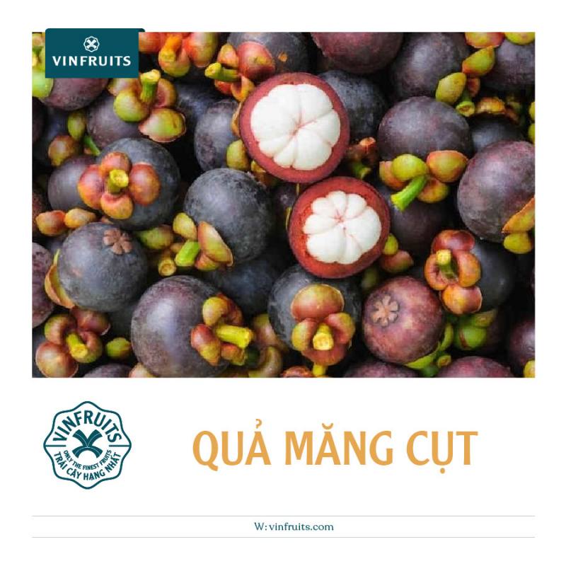 Quả măng cụt bảo lộc