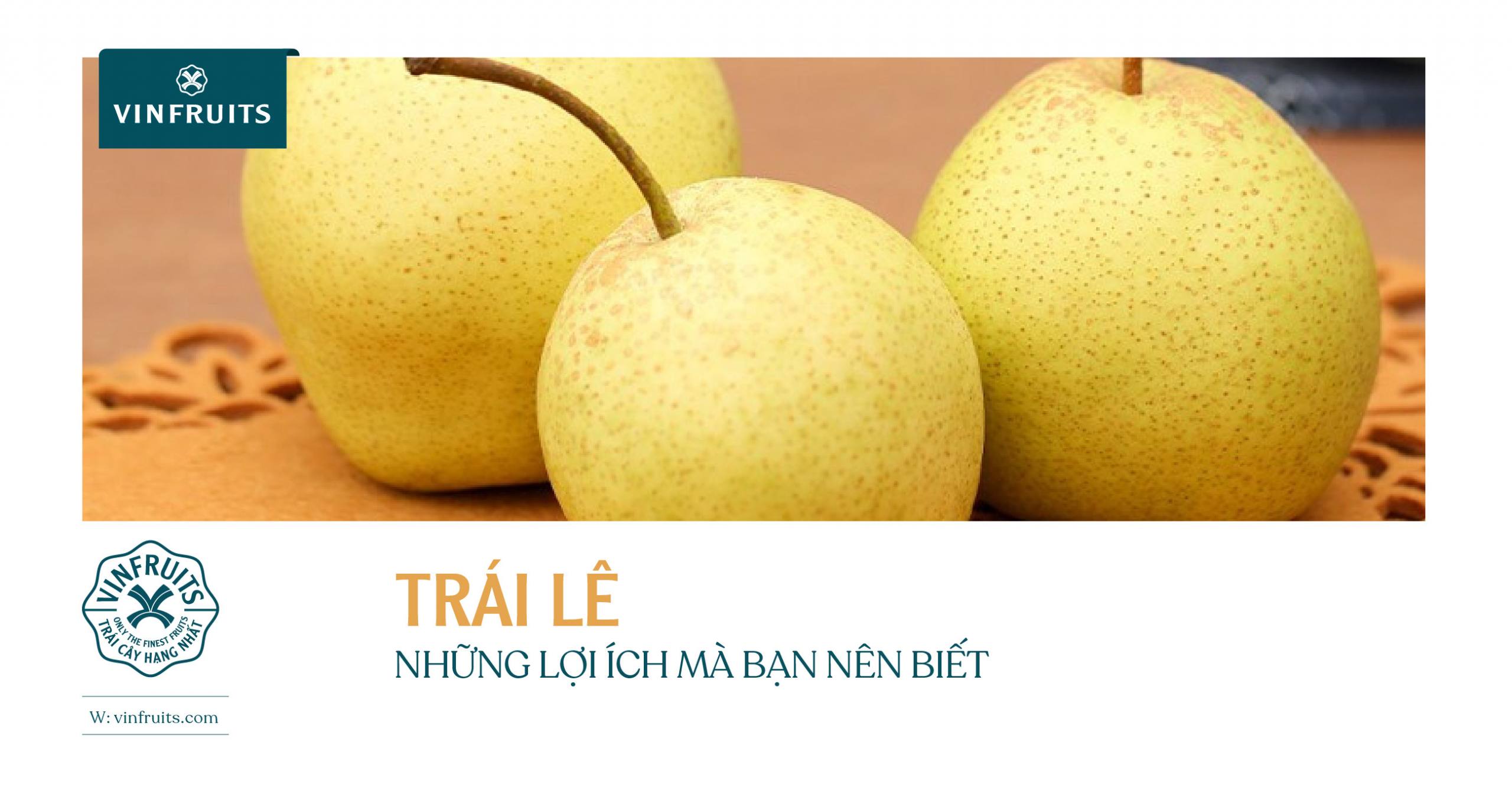 TRÁI LÊ – NHỮNG LỢI ÍCH BẠN NÊN BIẾT