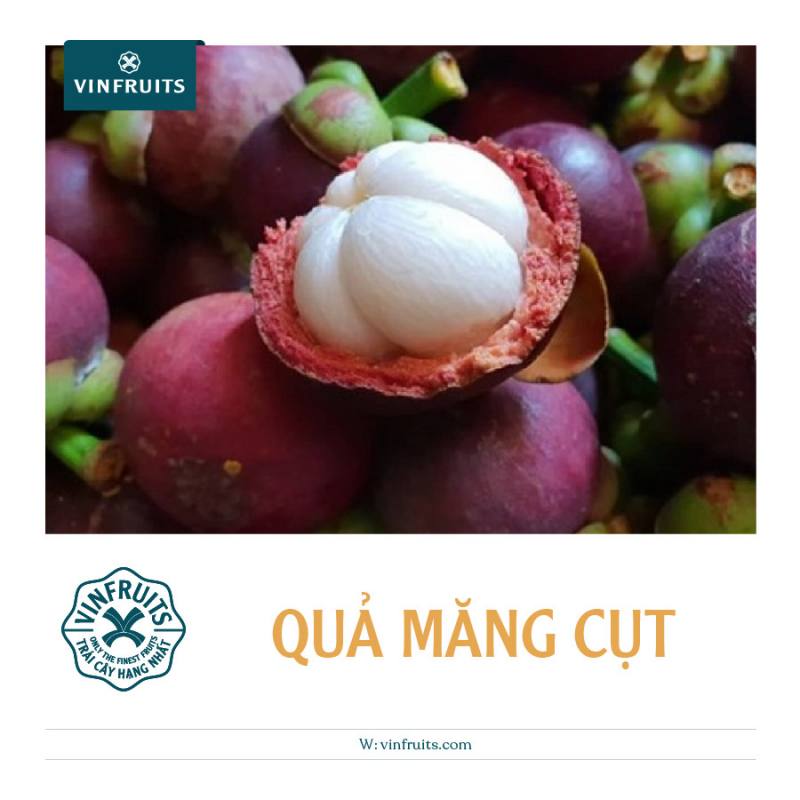 Trái măng cụt là loại quả mùa hè