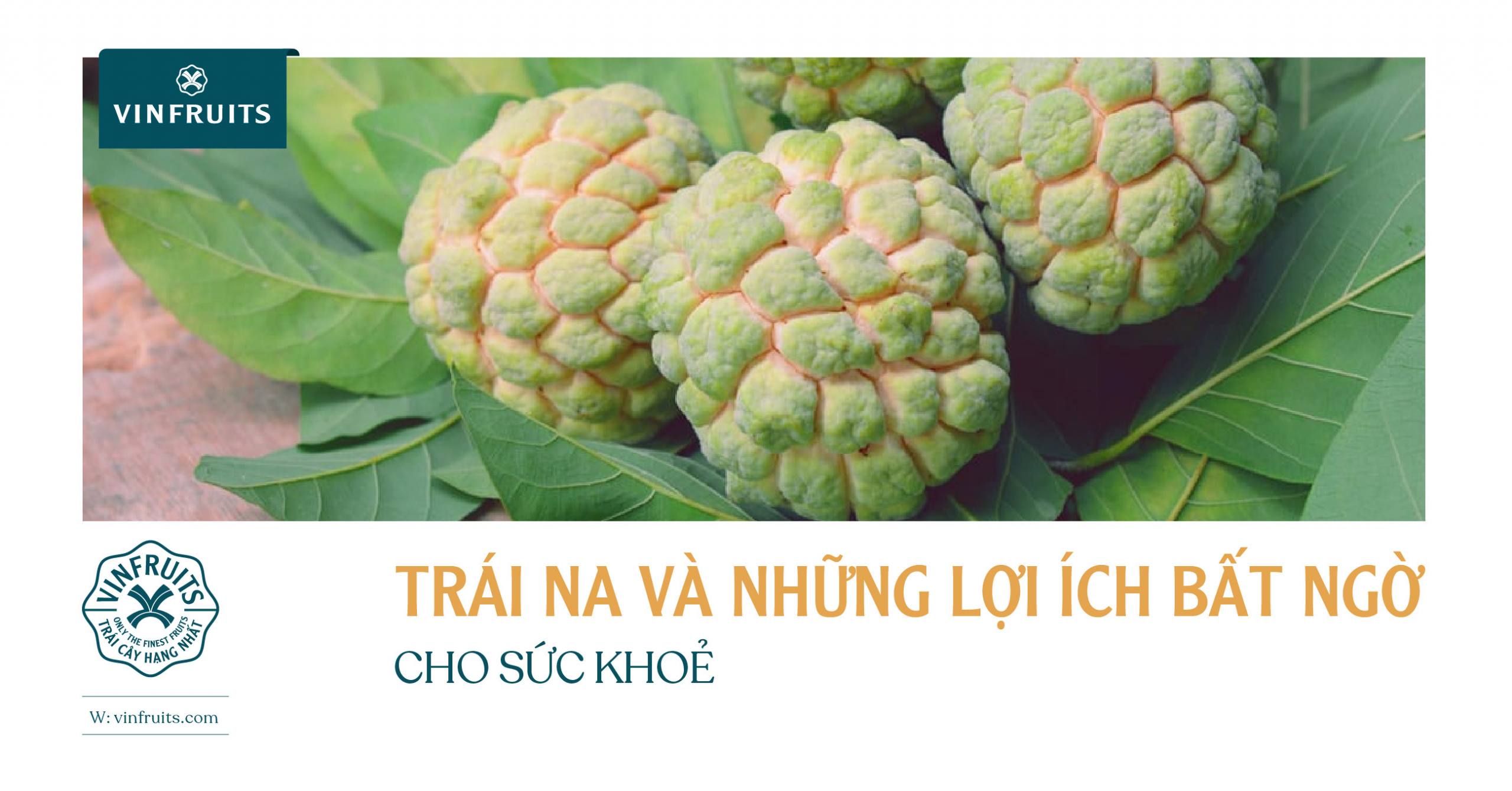 TRÁI NA VÀ NHỮNG LỢI ÍCH BẤT NGỜ CHO SỨC KHỎE