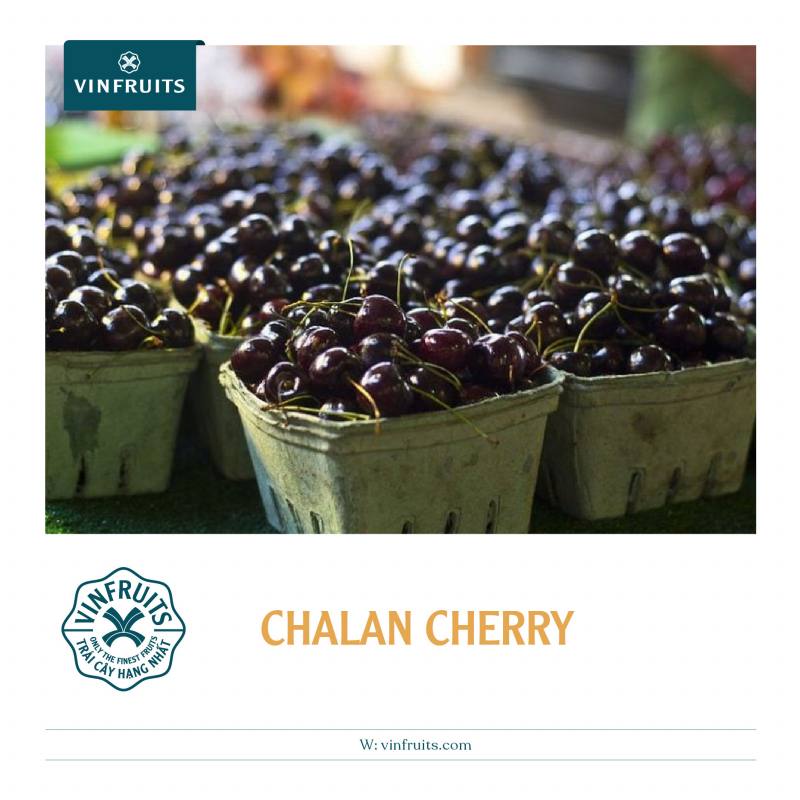 Chelan™ cherry cũng không kém cạnh về ĐỘ ĐEN
