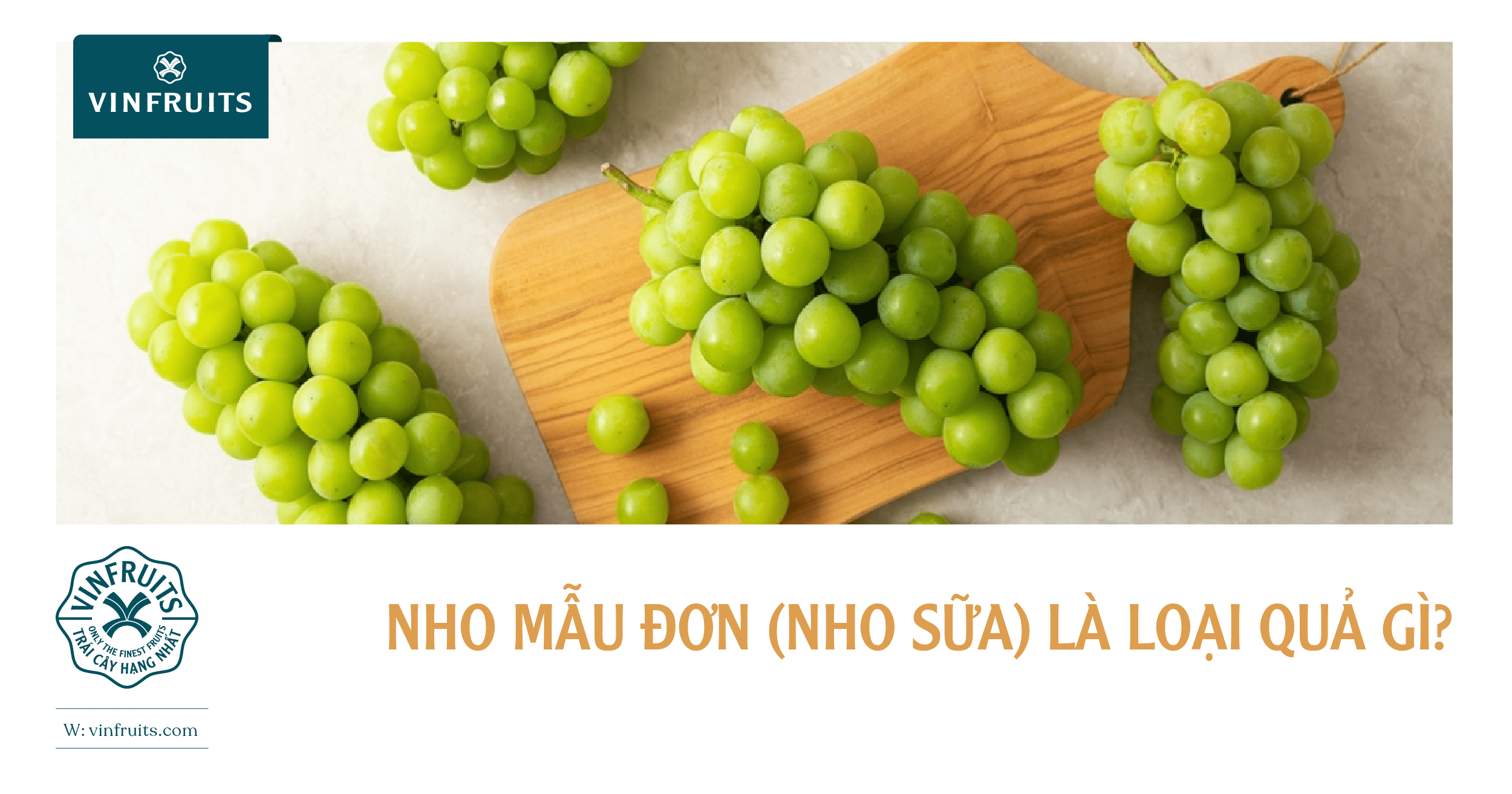 Nho mẫu đơn (Nho sữa) là loại quả gì?
