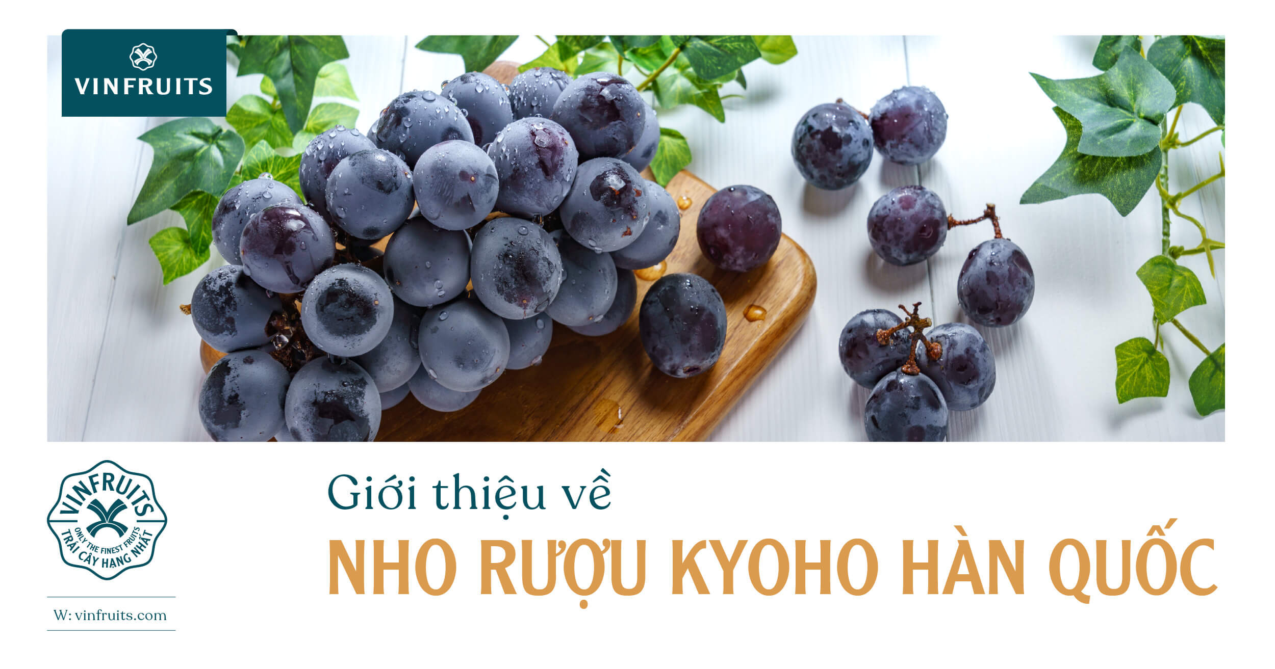 Nho rượu Kyoho Hàn Quốc là loại quả gì?