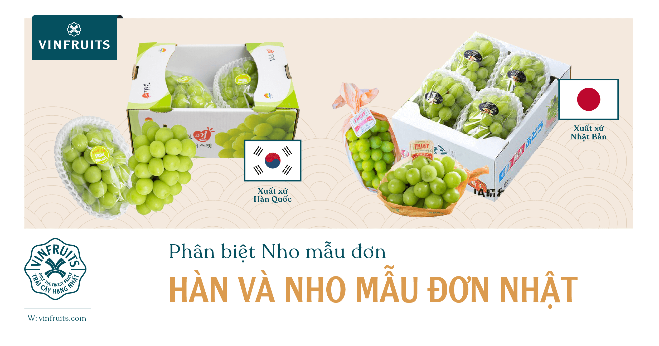 Hướng dẫn cách phân biệt nho mẫu đơn Nhật và Hàn