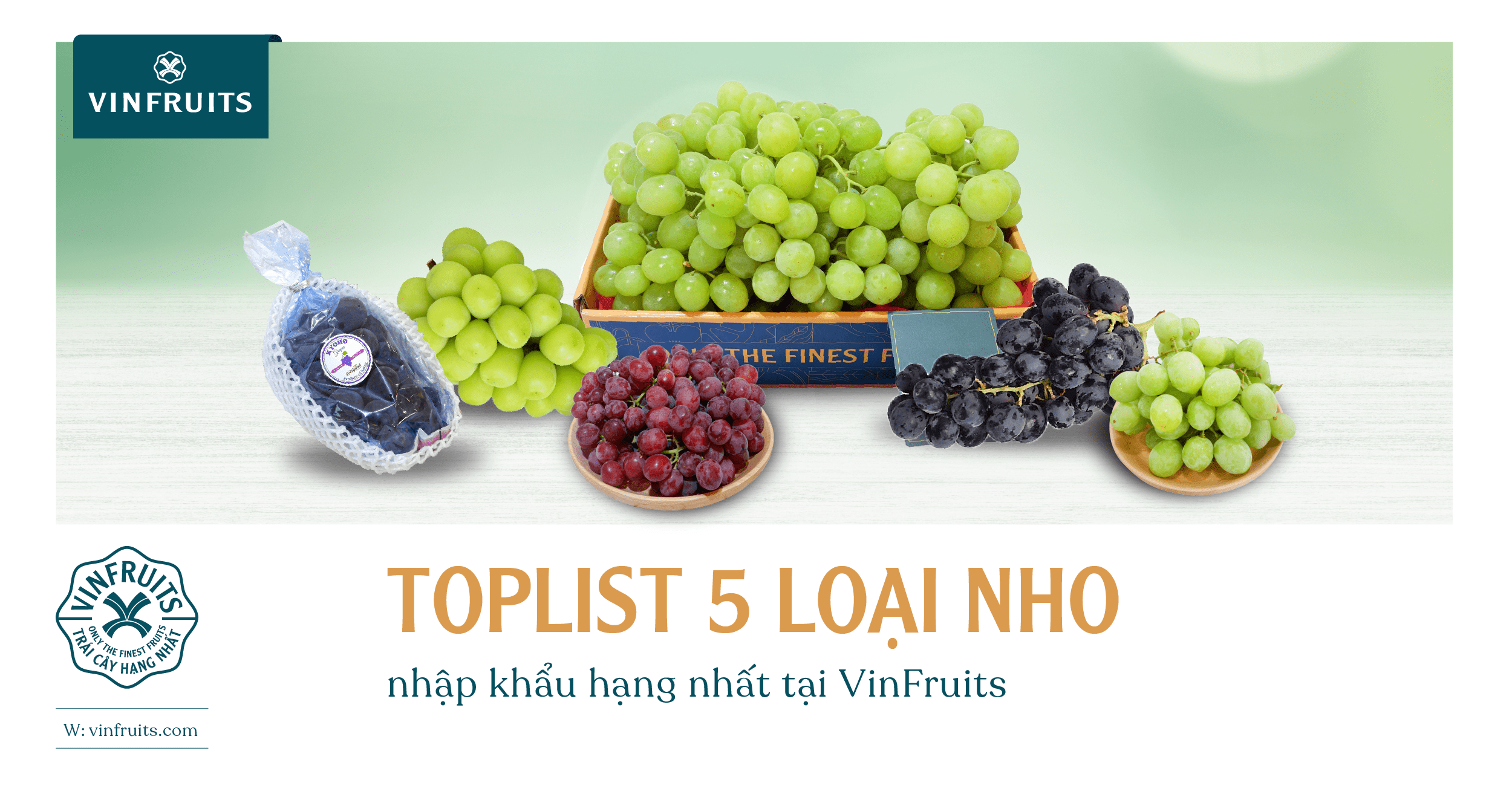 Toplist 5 loại nho nhập khẩu hạng nhất tại VinFruits