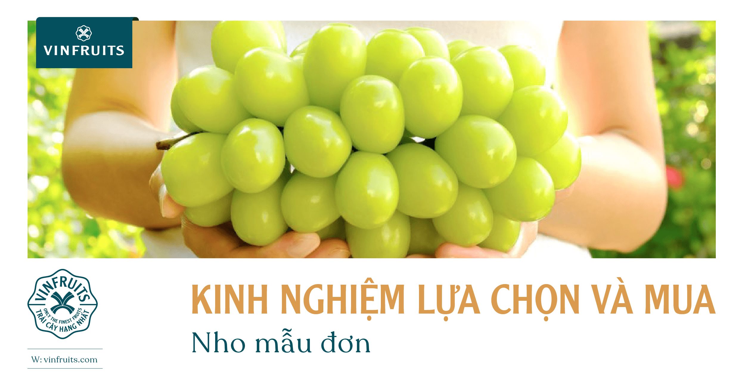 Kinh nghiệm lựa chọn và mua nho mẫu đơn