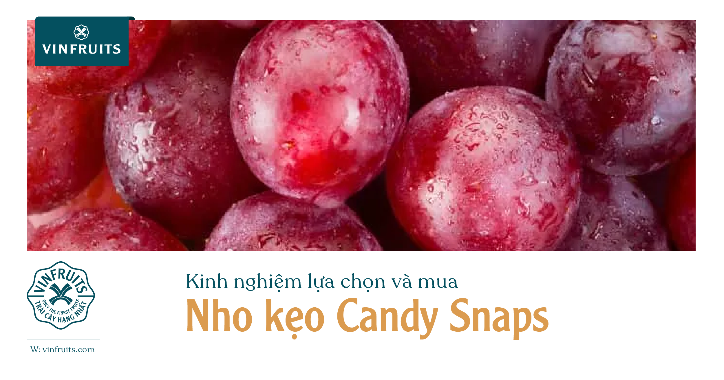 Kinh nghiệm lựa chọn và mua Nho kẹo Candy Snaps
