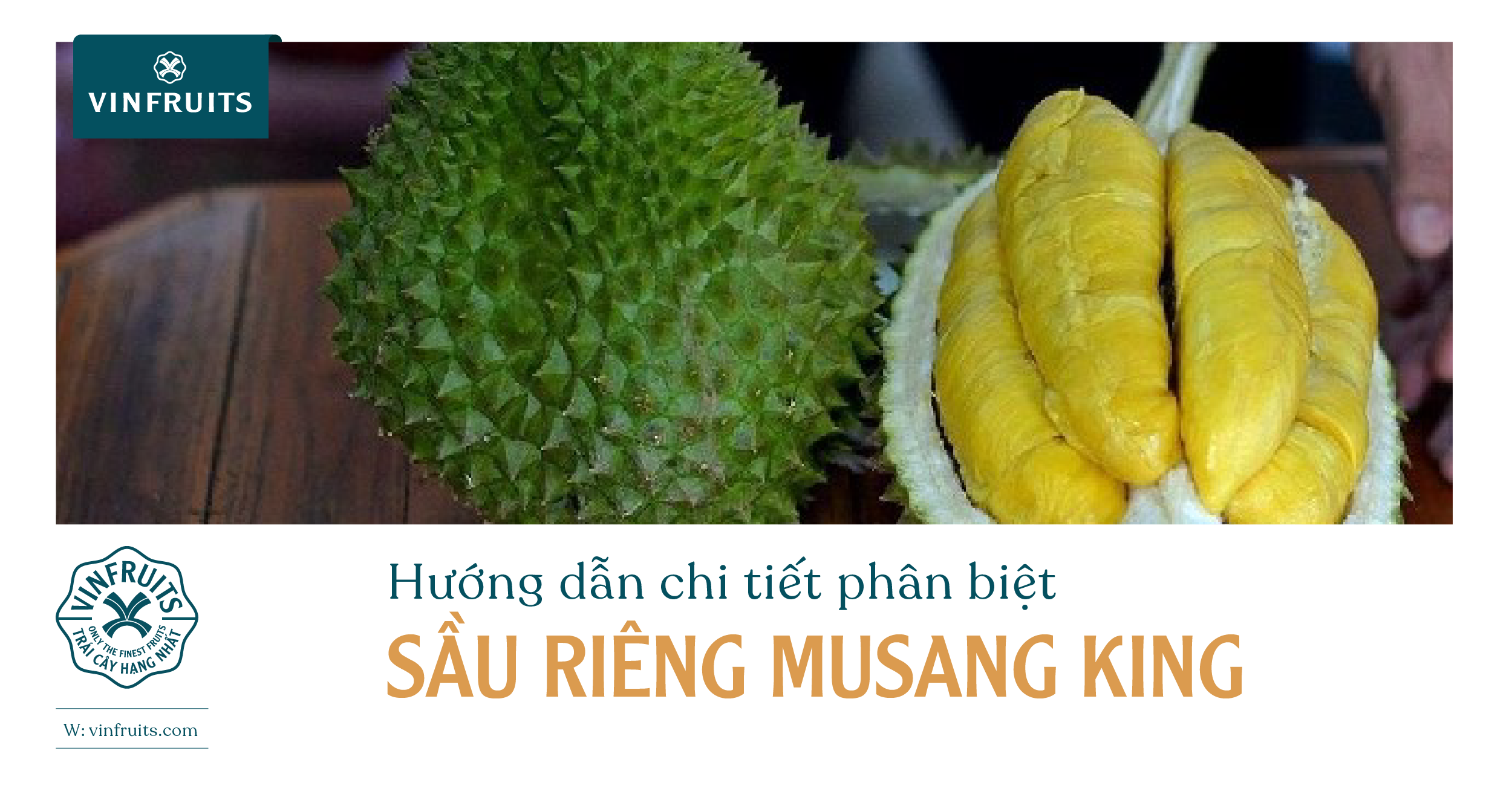 Hướng dẫn chi tiết phân biệt Sầu riêng Musang King