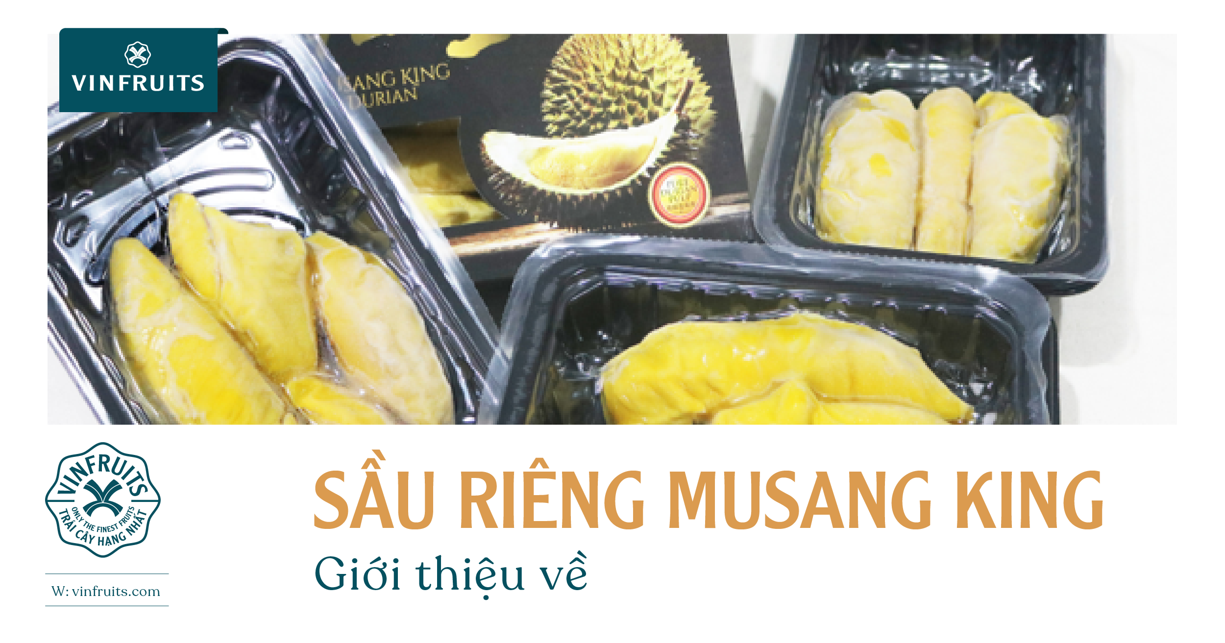 Giới thiệu về sầu riêng Musang King – Vua trái cây hảo hạng