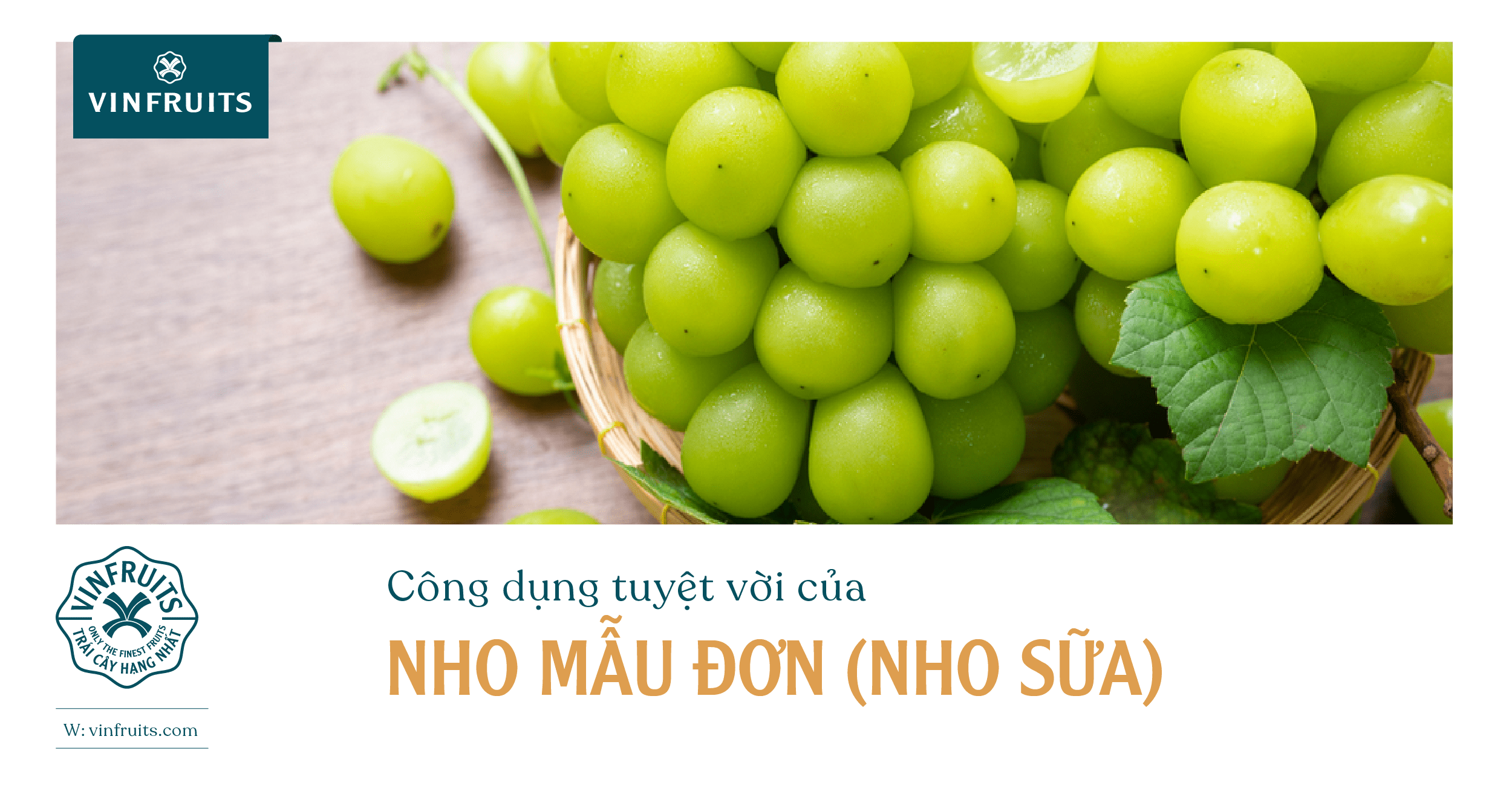 10 công dụng tuyệt vời của Nho mẫu đơn (Nho sữa)