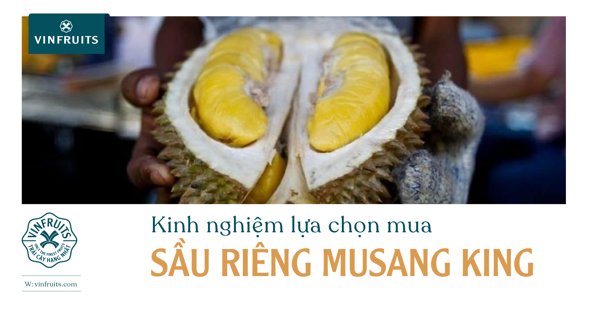 Kinh nghiệm lựa chọn mua Sầu riêng Musang King