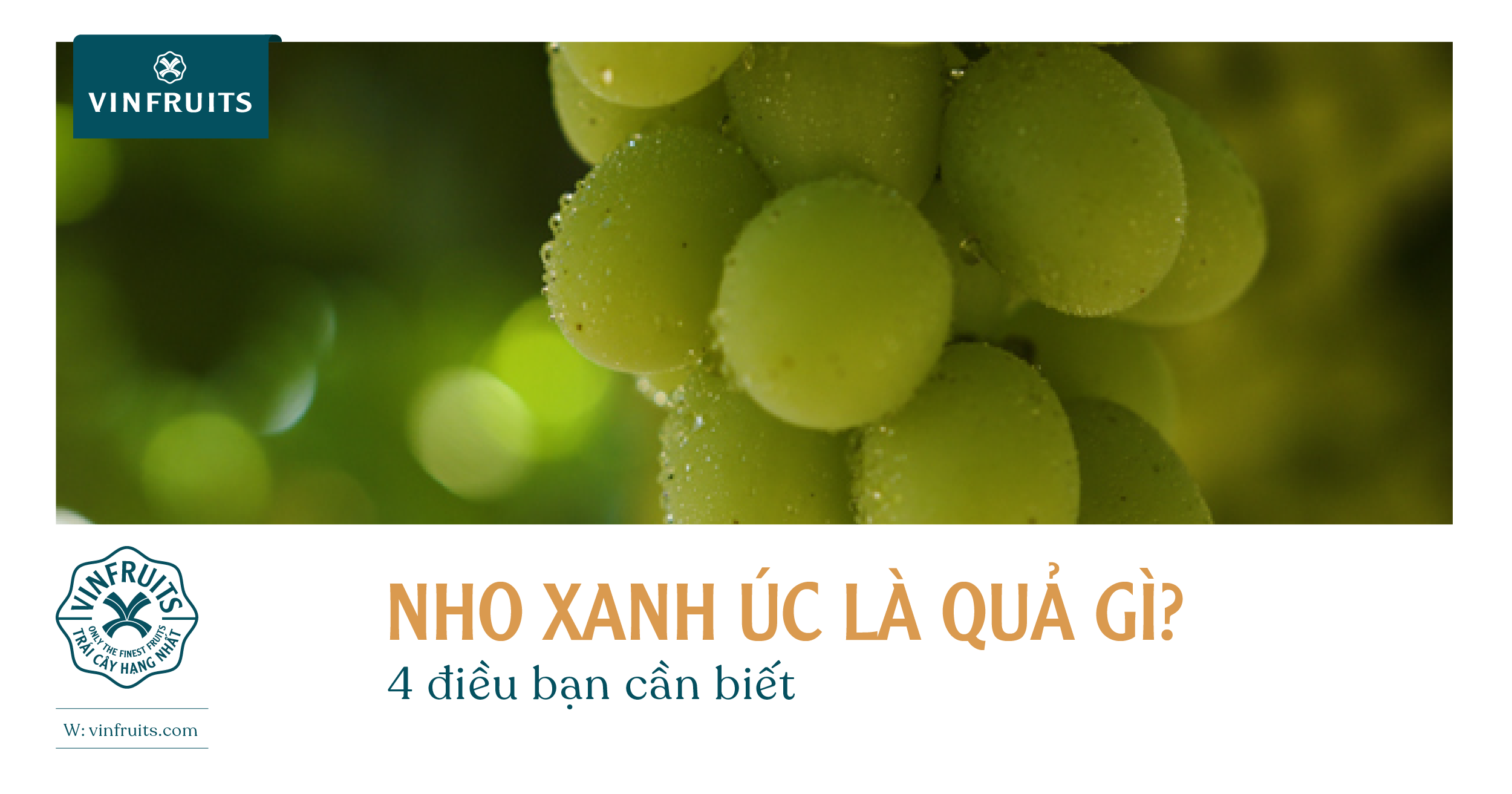Nho xanh Úc là quả gì? 4 điều bạn cần biết